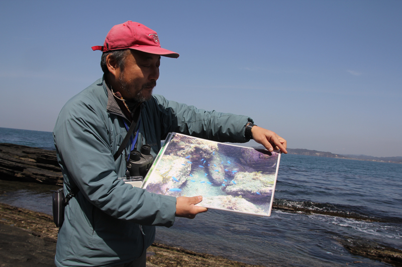 奥の海で観察できるサンゴを解説する竹内さん