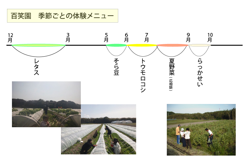 季節ごとの収穫体験メニュー